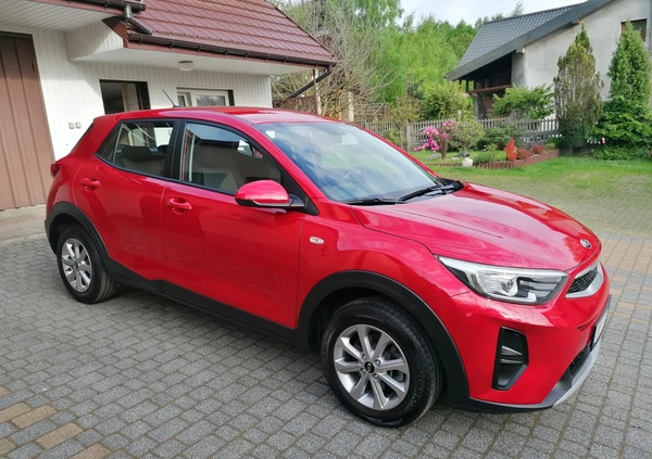 Kia Stonic cena 66700 przebieg: 50000, rok produkcji 2020 z Sławków małe 667